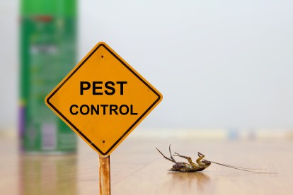Pest Contol in Isleworth, TW7. Call Now 020 8166 9746