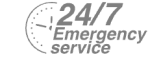 24/7 Emergency Service Pest Control in Isleworth, TW7. Call Now! 020 8166 9746